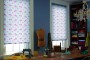 Boro Blinds Are the Experts When it comes to All Kinds of Blinds